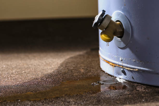 Best Residential water damage restoration  in Lake Of The Woods, IL