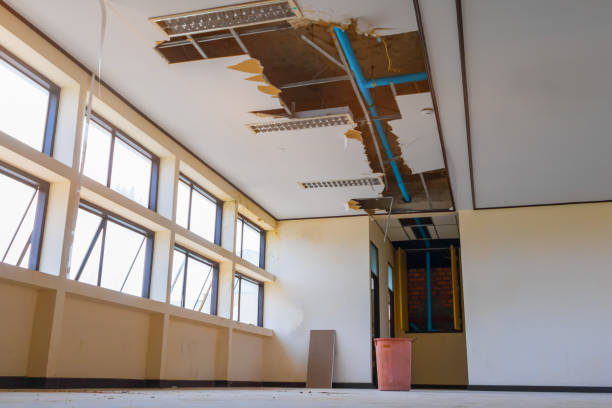 Best Flood damage cleanup  in Lake Of The Woods, IL