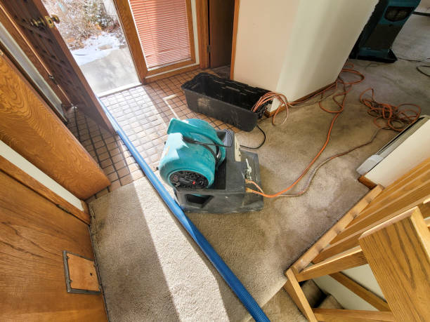 Best Carpet water damage restoration  in Lake Of The Woods, IL