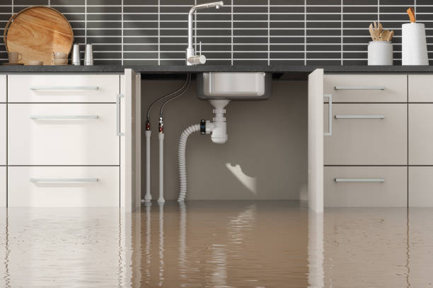  Lake Of The Woods, IL Water damage restoration Pros